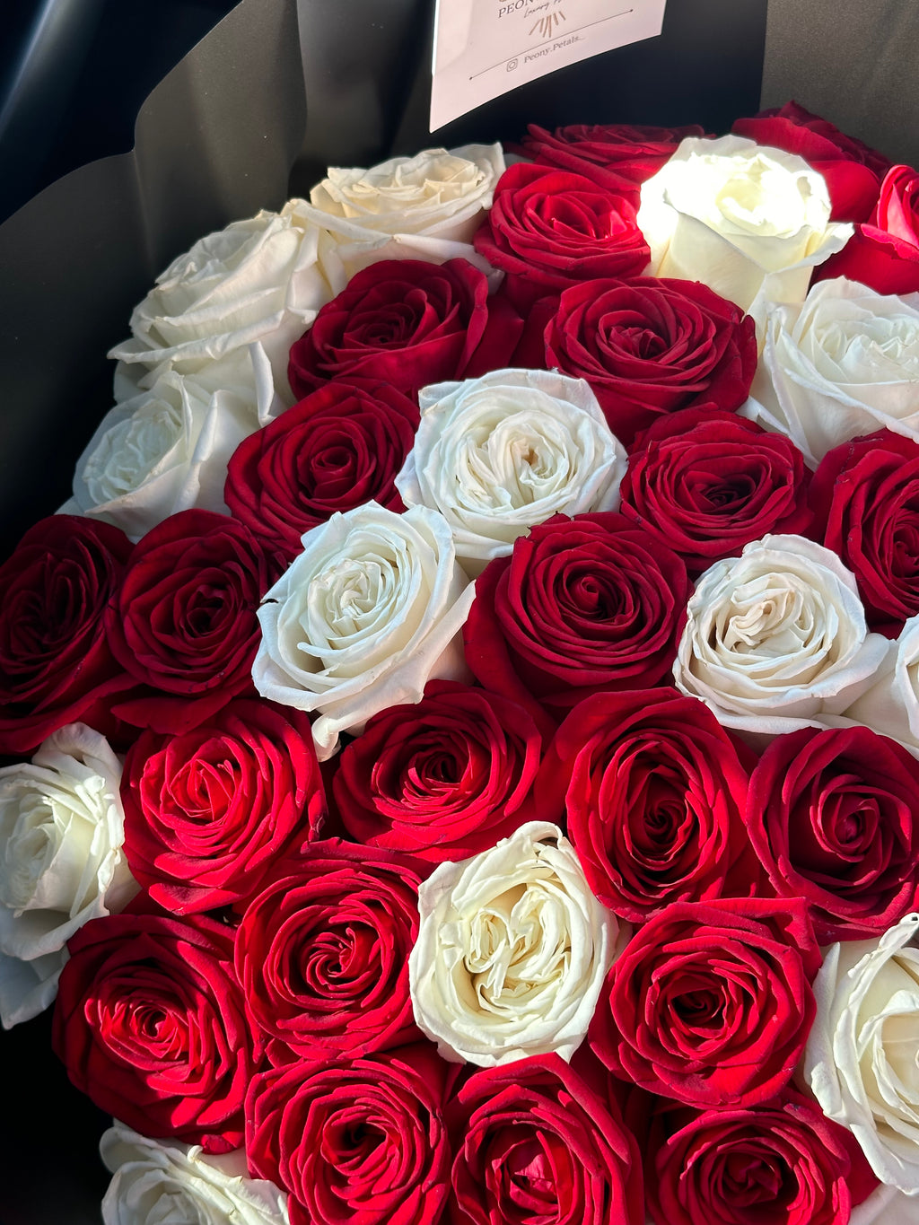 50 Naomi Red & White Roses