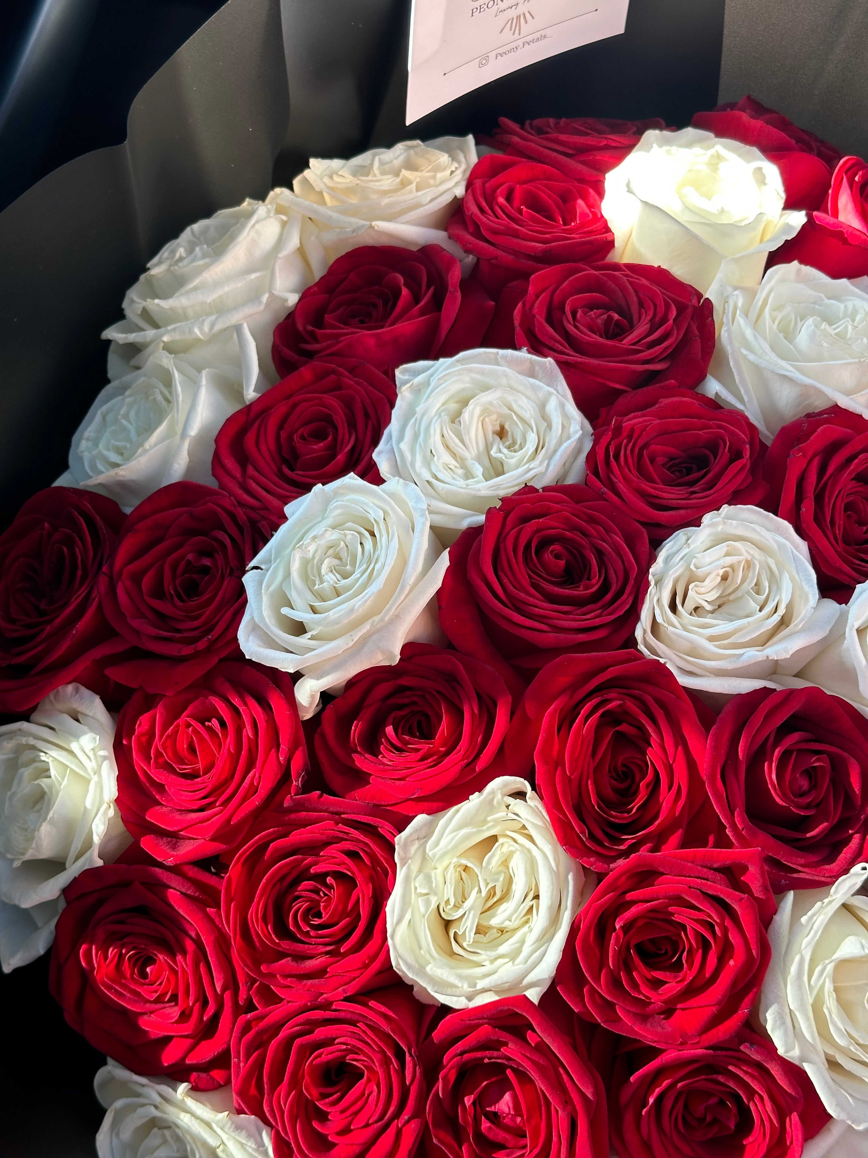 50 Naomi Red & White Roses