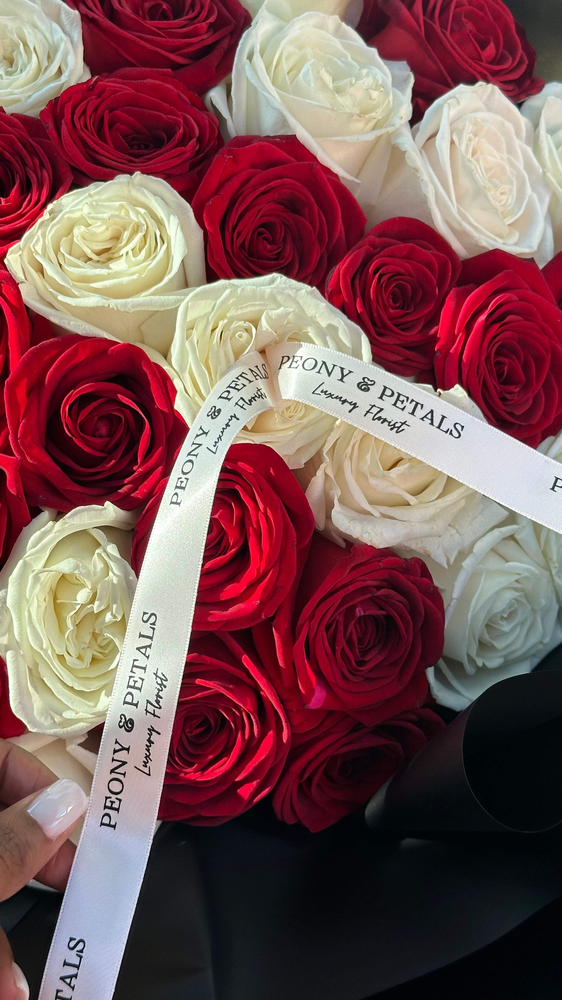 50 Naomi Red & White Roses