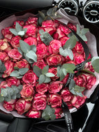 50 Paloma Roses