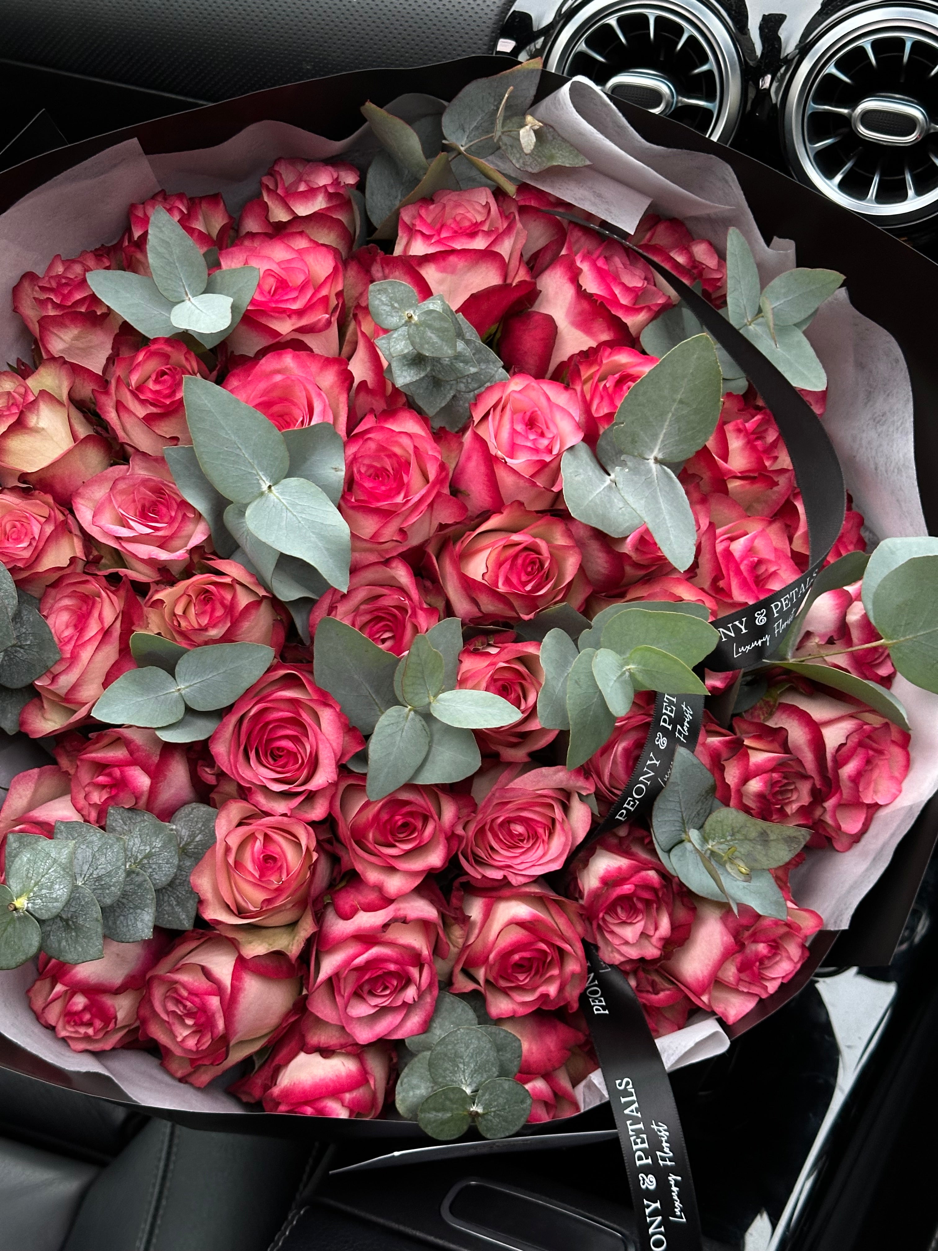 50 Paloma Roses