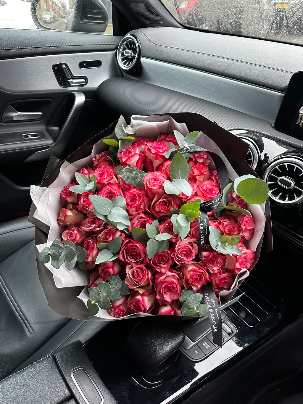 50 Paloma Roses