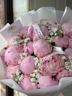 15 Pink Peony Stems with Gyp
